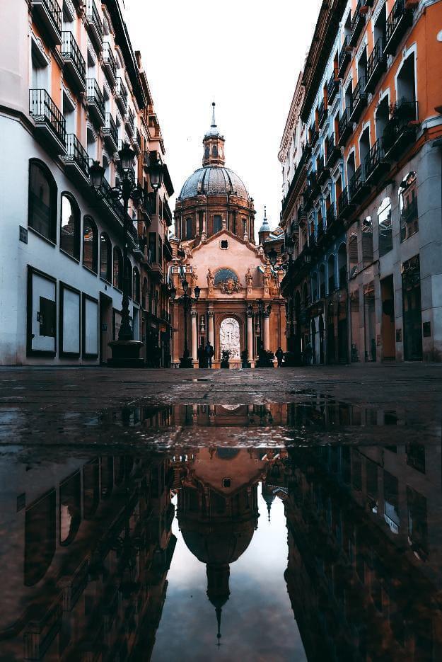 David Secan David Secan