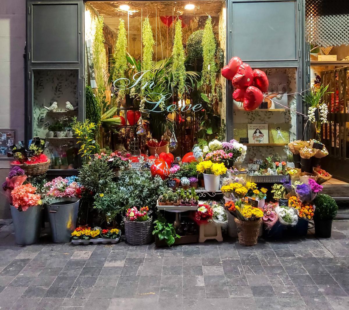 David Secan David Secan