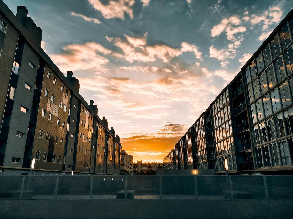 David Secan David Secan