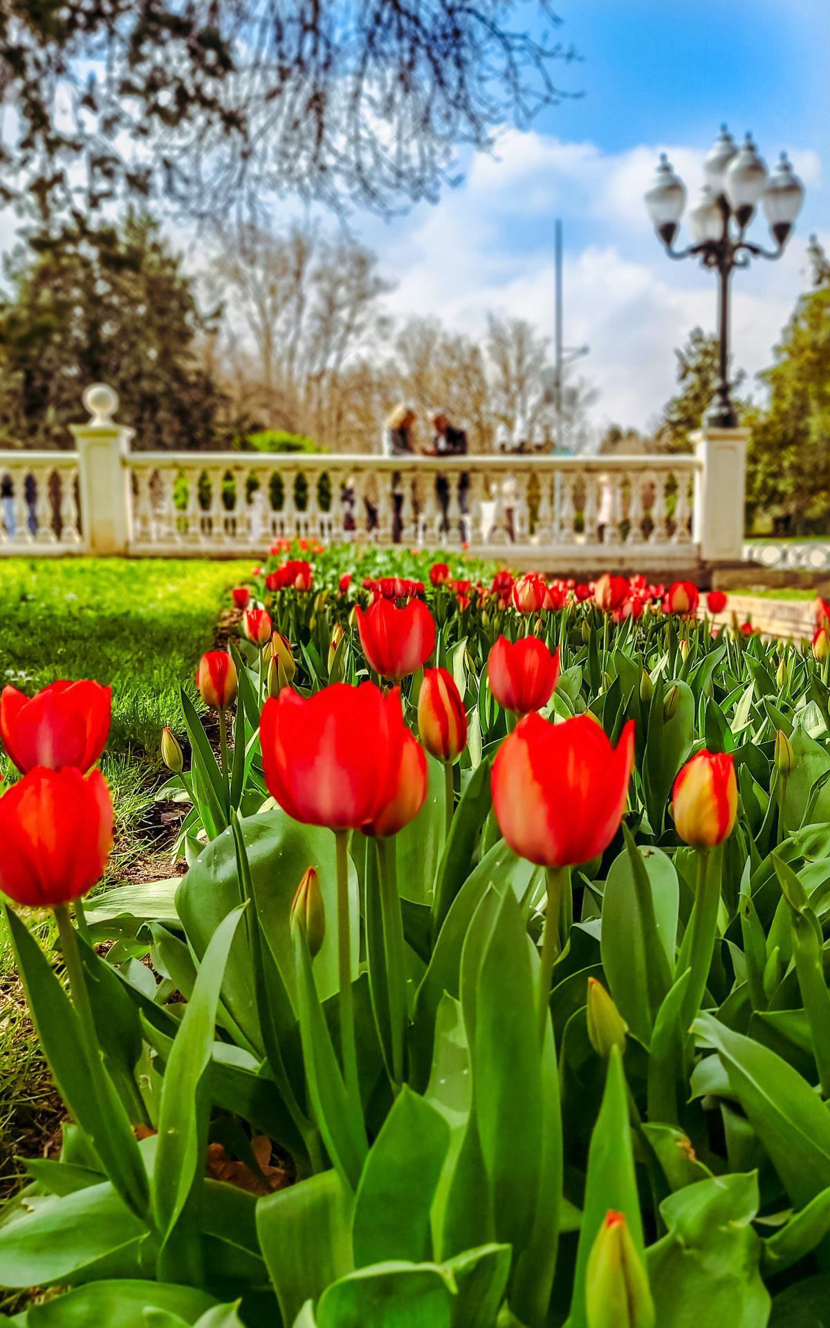 David Secan David Secan