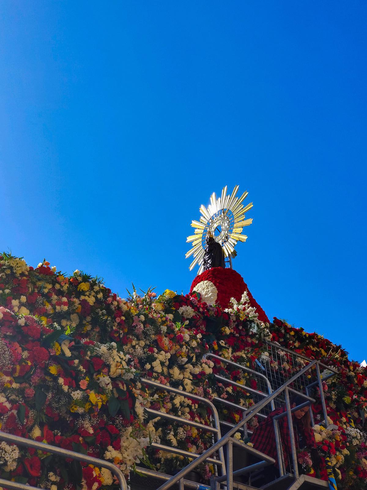 David Secan David Secan