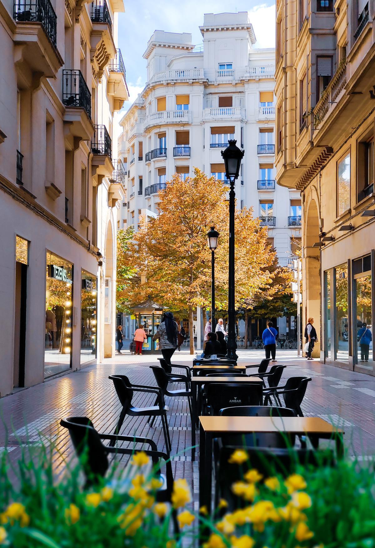 David Secan David Secan