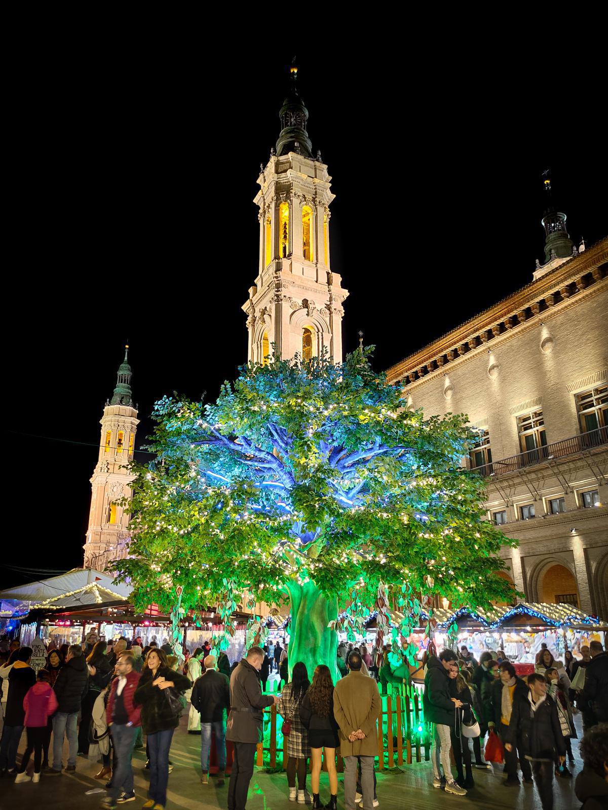 David Secan David Secan