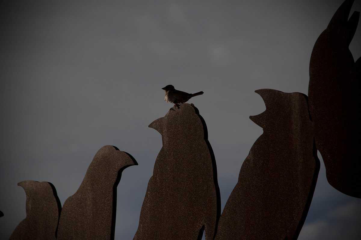 Sergio Funes Lara Sergio Funes Lara