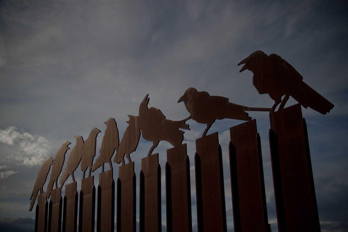 Sergio Funes Lara Sergio Funes Lara