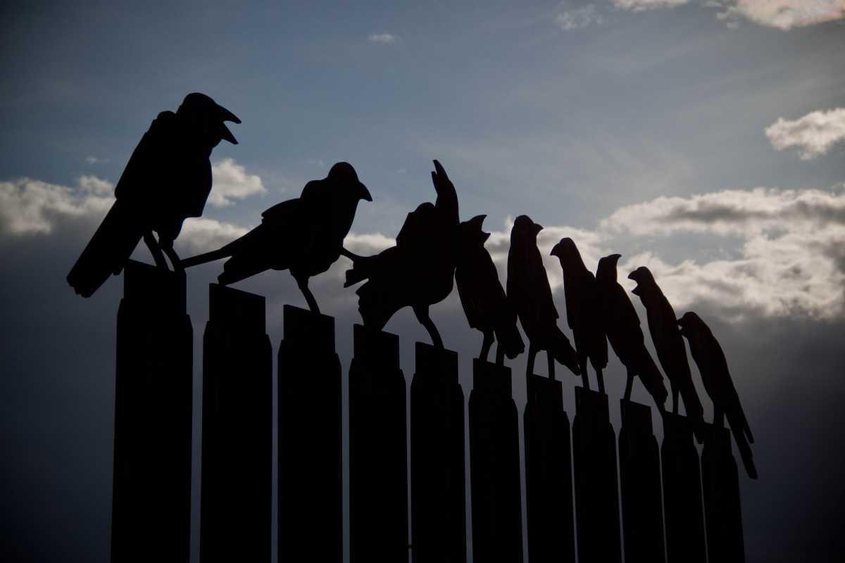 Sergio Funes Lara Sergio Funes Lara