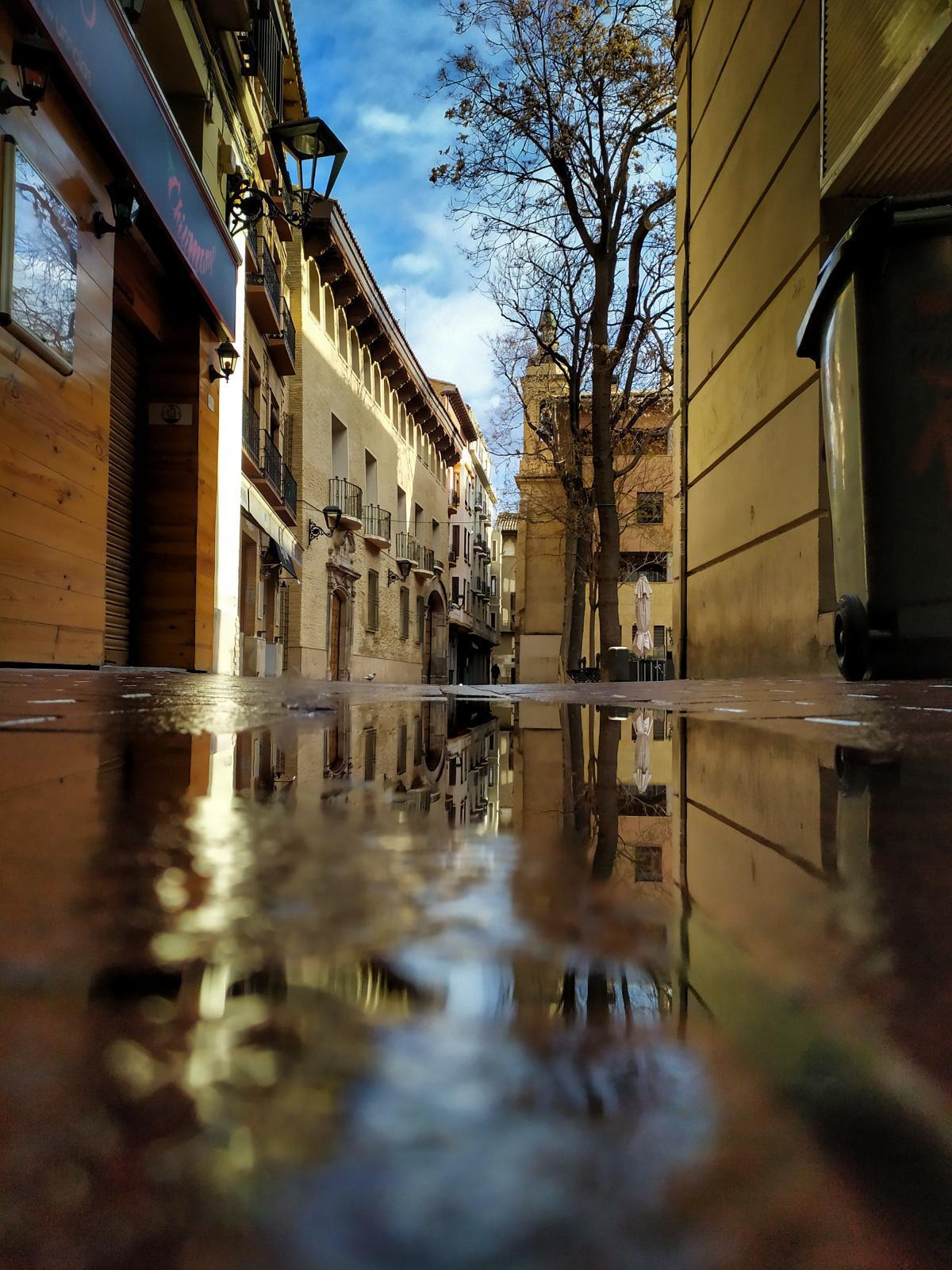 Silvia Belloc Silvia Belloc