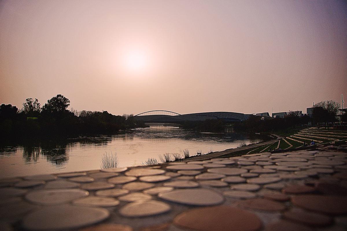 Silvia Belloc Silvia Belloc