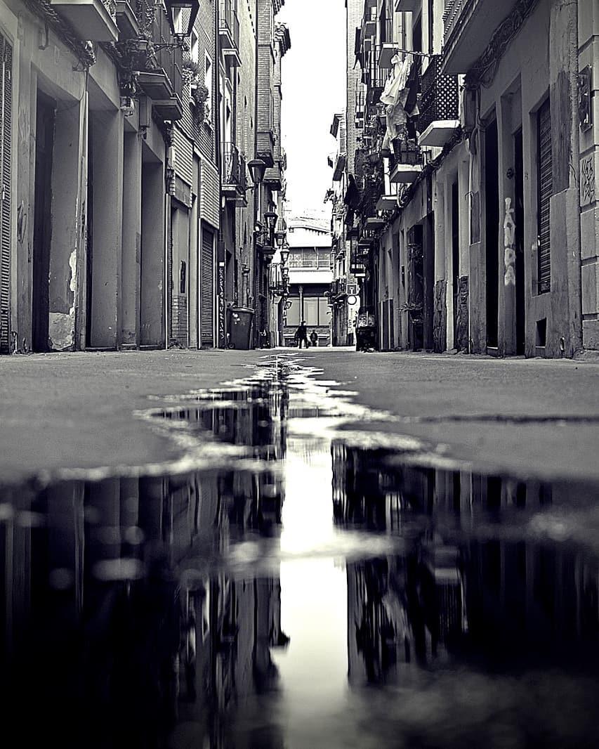 Silvia Belloc Silvia Belloc