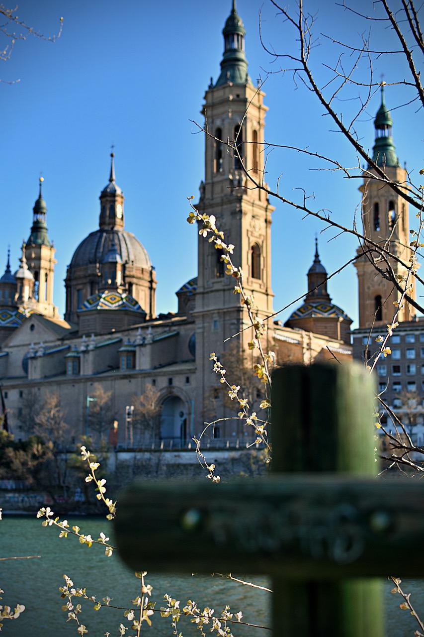 Silvia Belloc Silvia Belloc