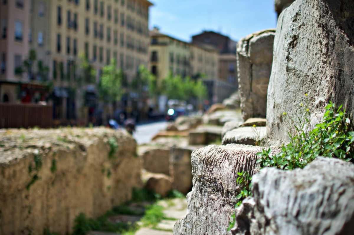 Silvia Belloc Silvia Belloc