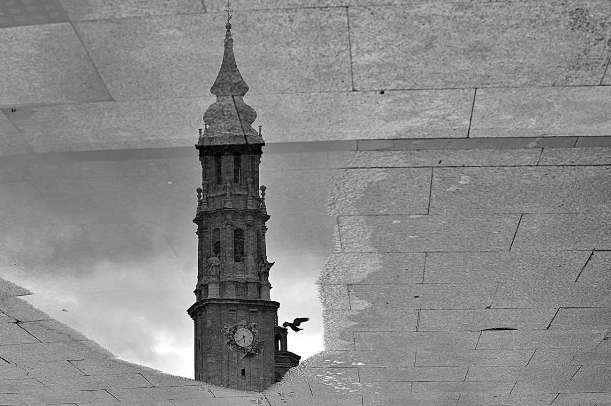 Silvia Belloc Silvia Belloc