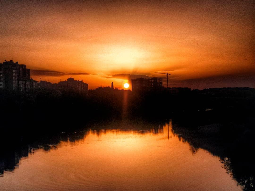 Silvia Belloc Silvia Belloc