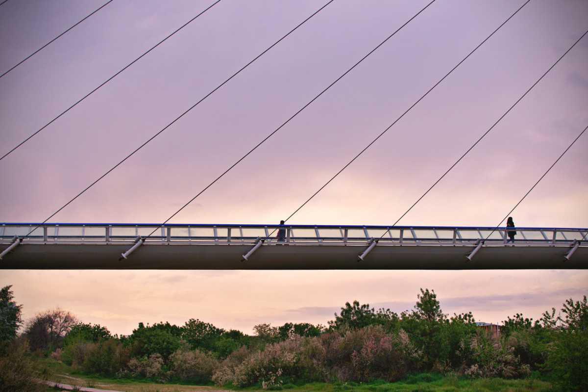 Silvia Belloc Silvia Belloc