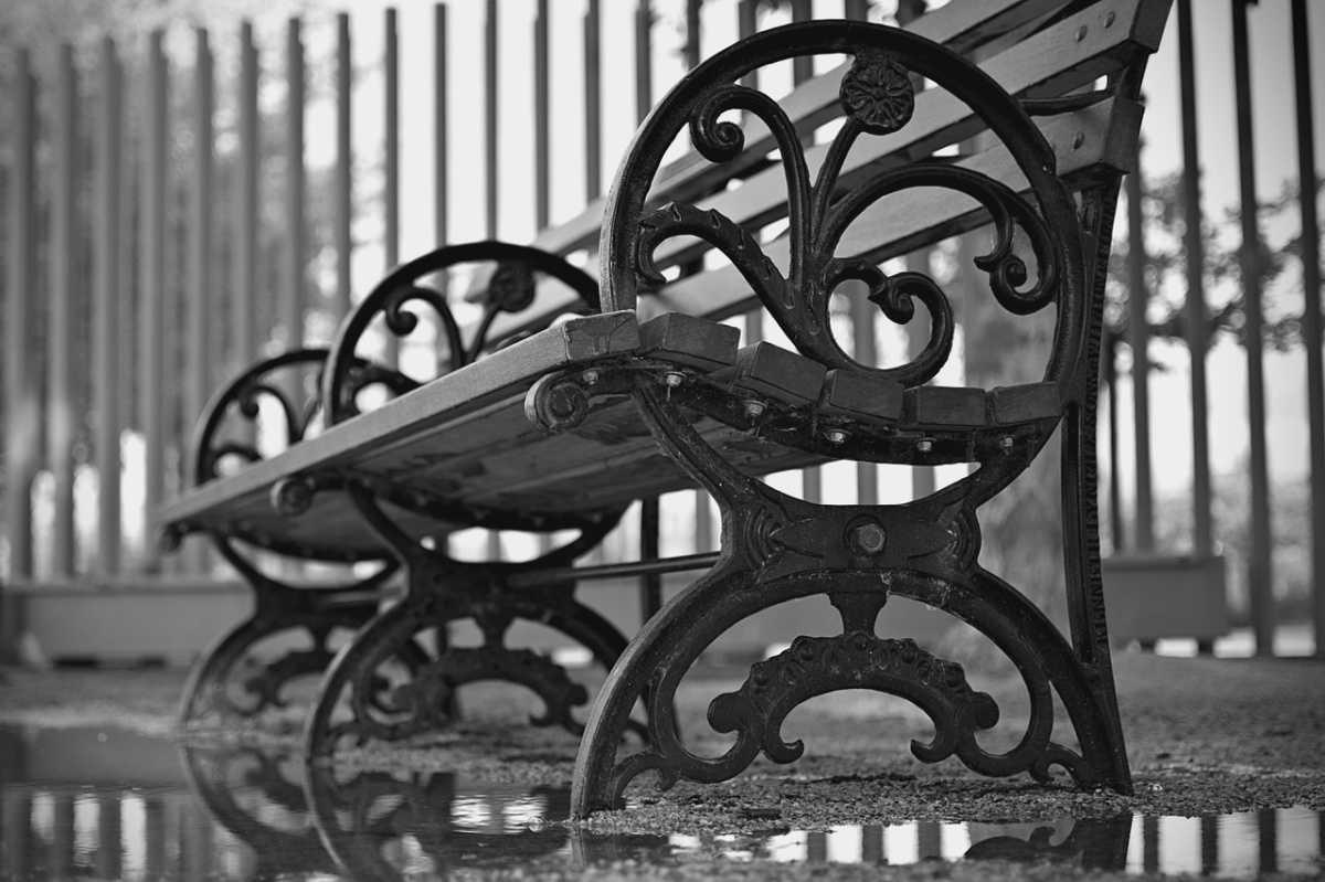 Silvia Belloc Silvia Belloc