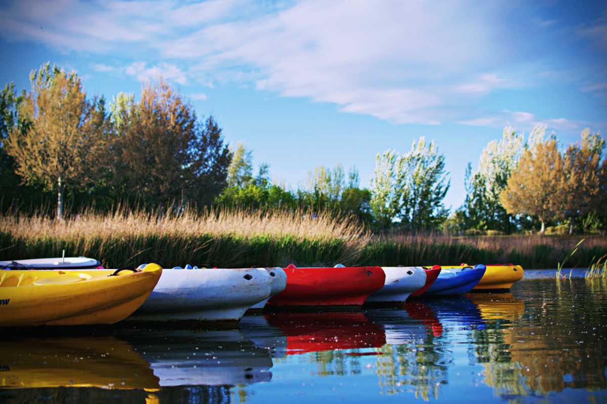 Silvia Belloc Silvia Belloc