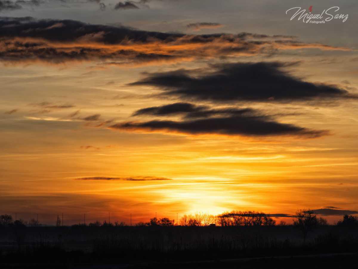 Miguel Sanz Miguel Sanz