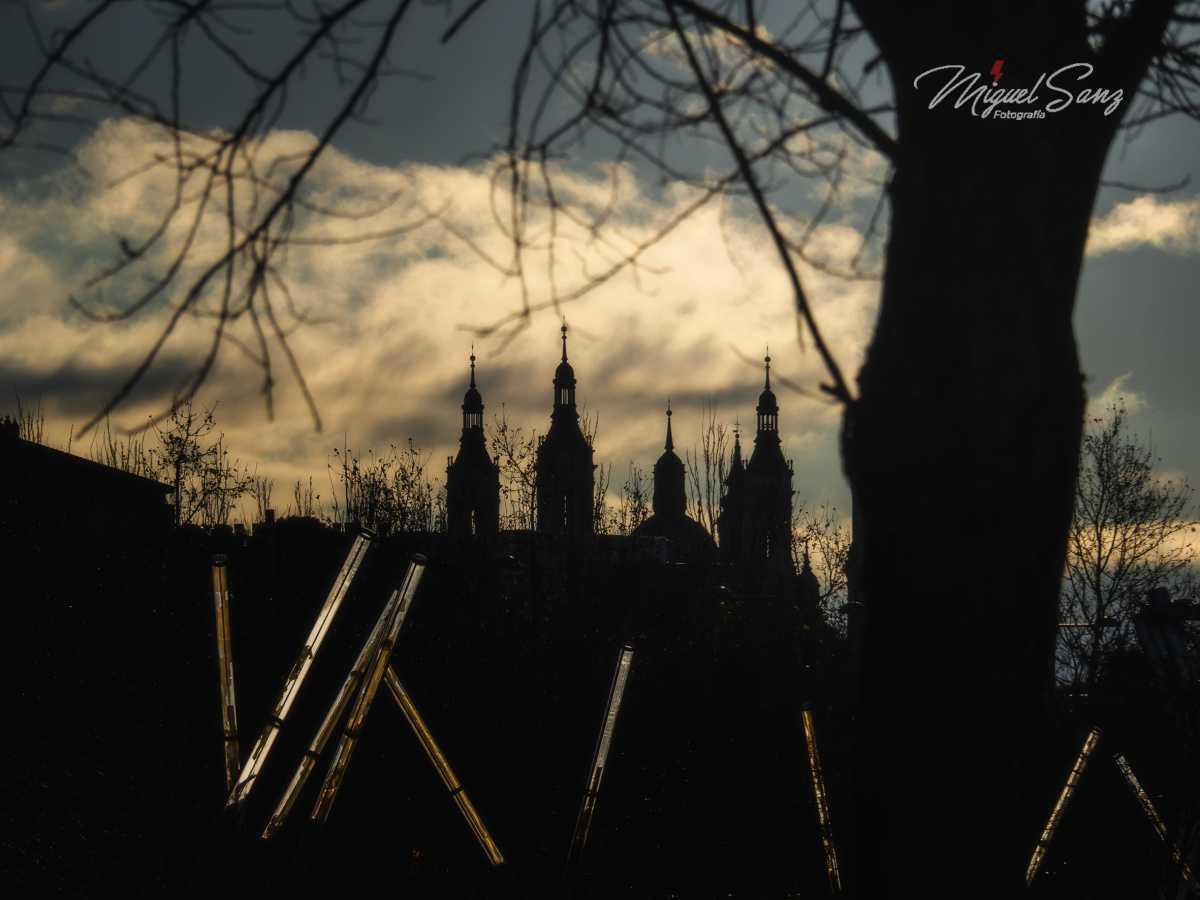 Miguel Sanz Miguel Sanz