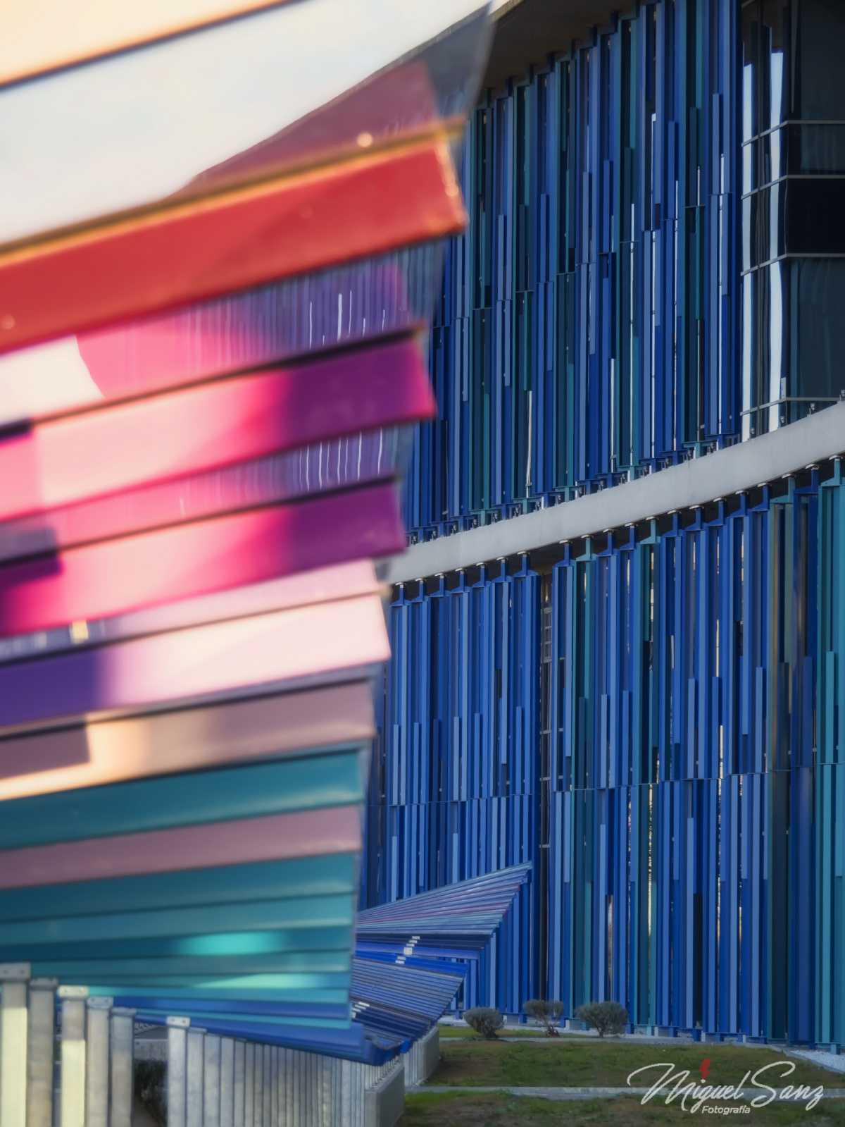 Miguel Sanz Miguel Sanz