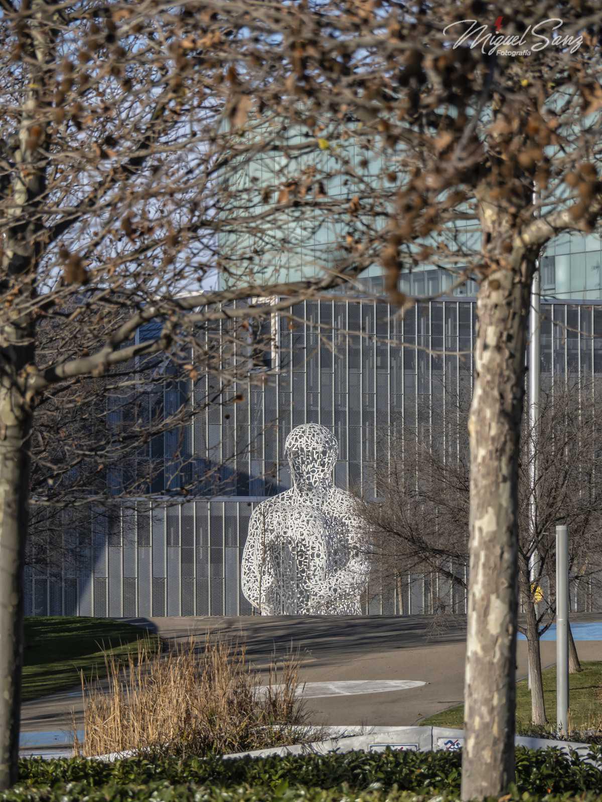 Miguel Sanz Miguel Sanz