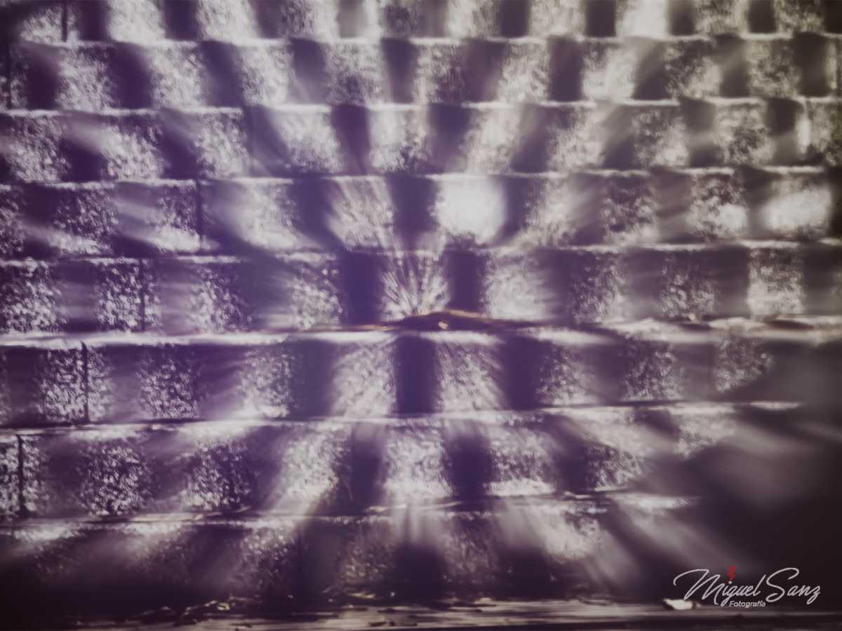 Miguel Sanz Miguel Sanz