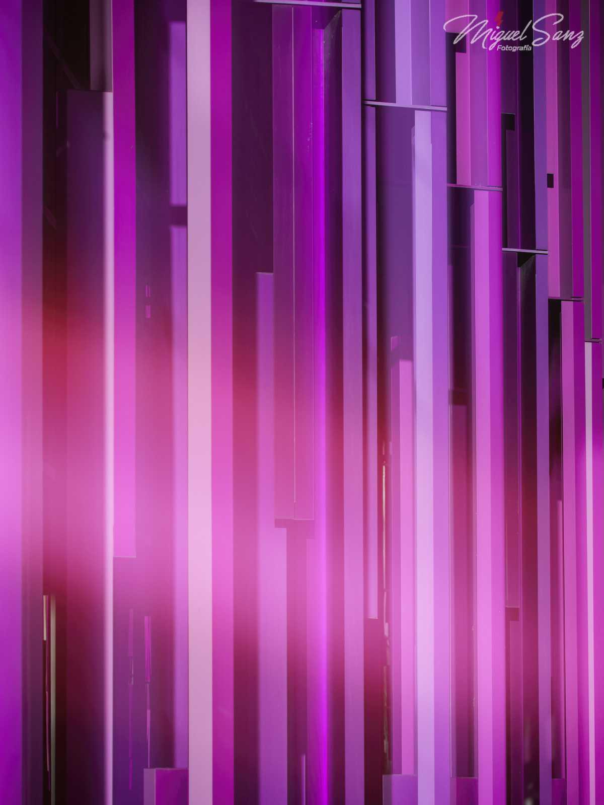 Miguel Sanz Miguel Sanz