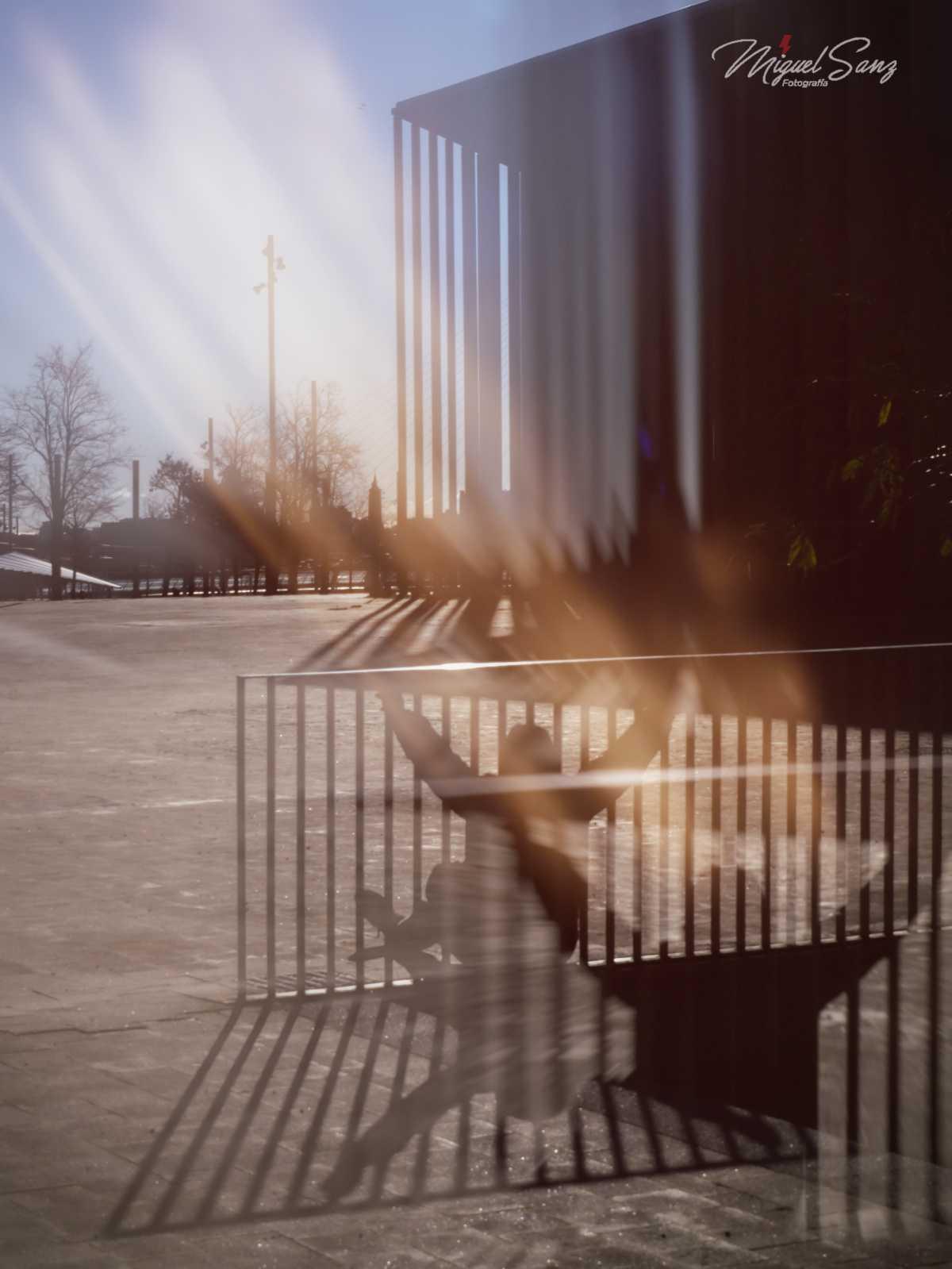 Miguel Sanz Miguel Sanz