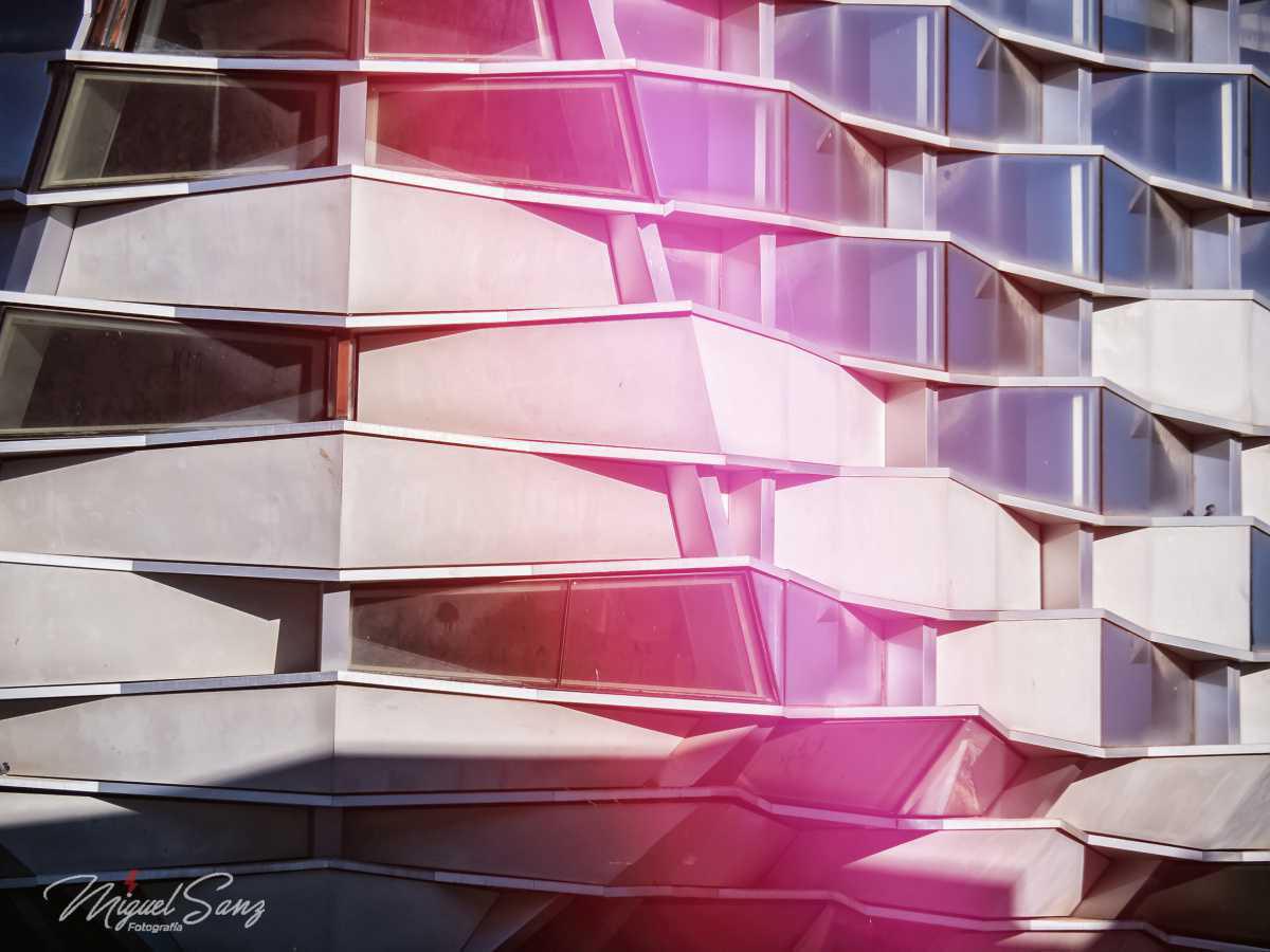 Miguel Sanz Miguel Sanz