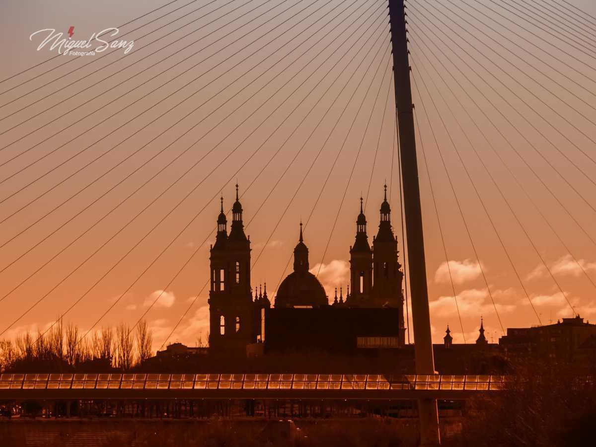 Miguel Sanz Miguel Sanz