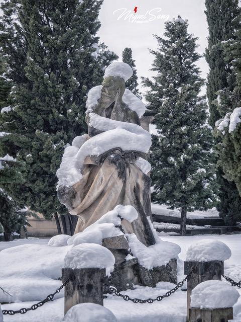 Miguel Sanz Miguel Sanz