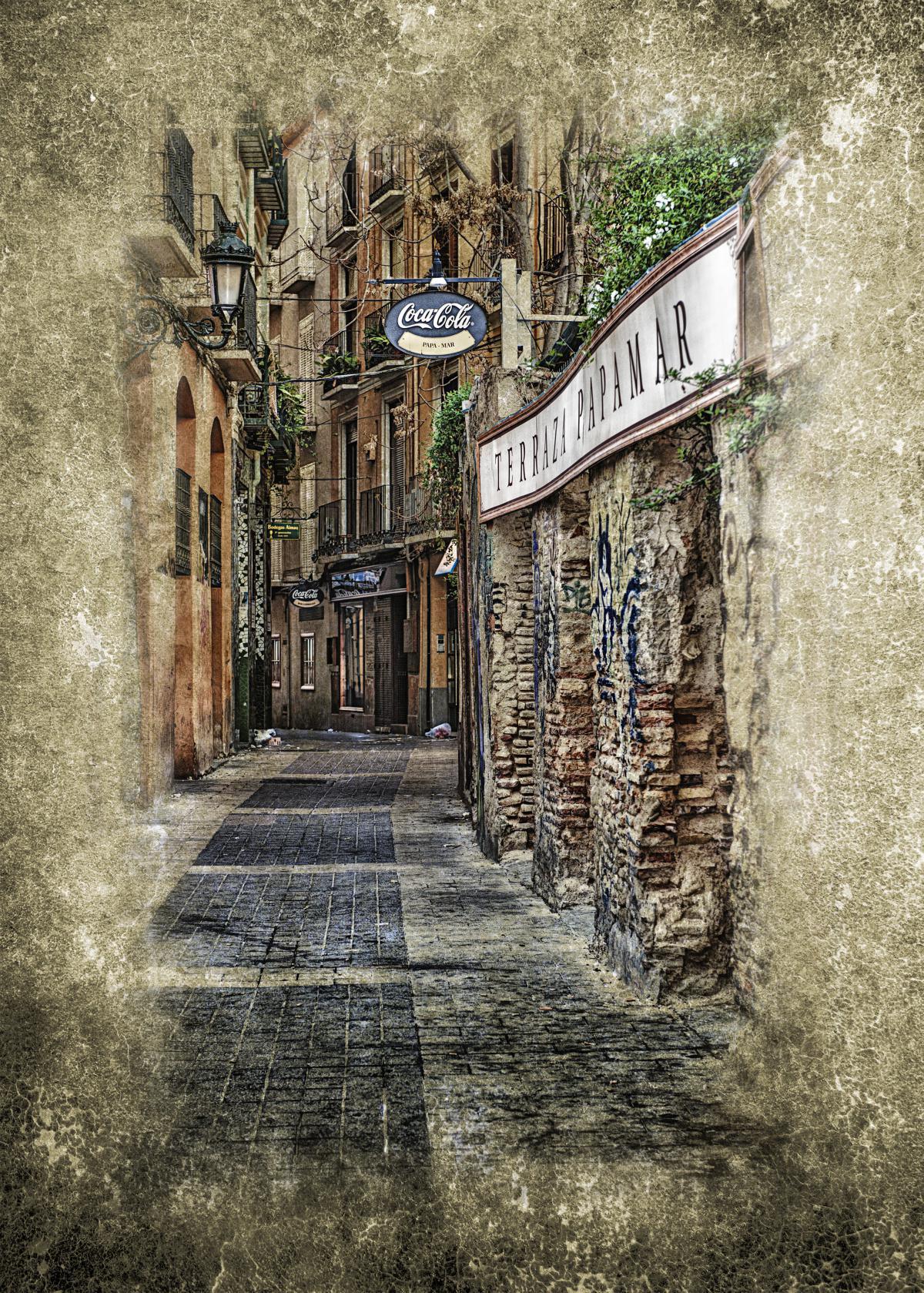 Miguel Sanz Miguel Sanz