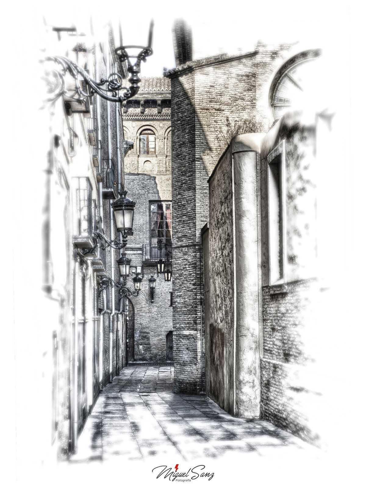 Miguel Sanz Miguel Sanz