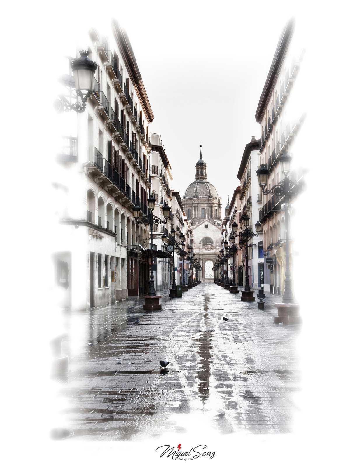 Miguel Sanz Miguel Sanz