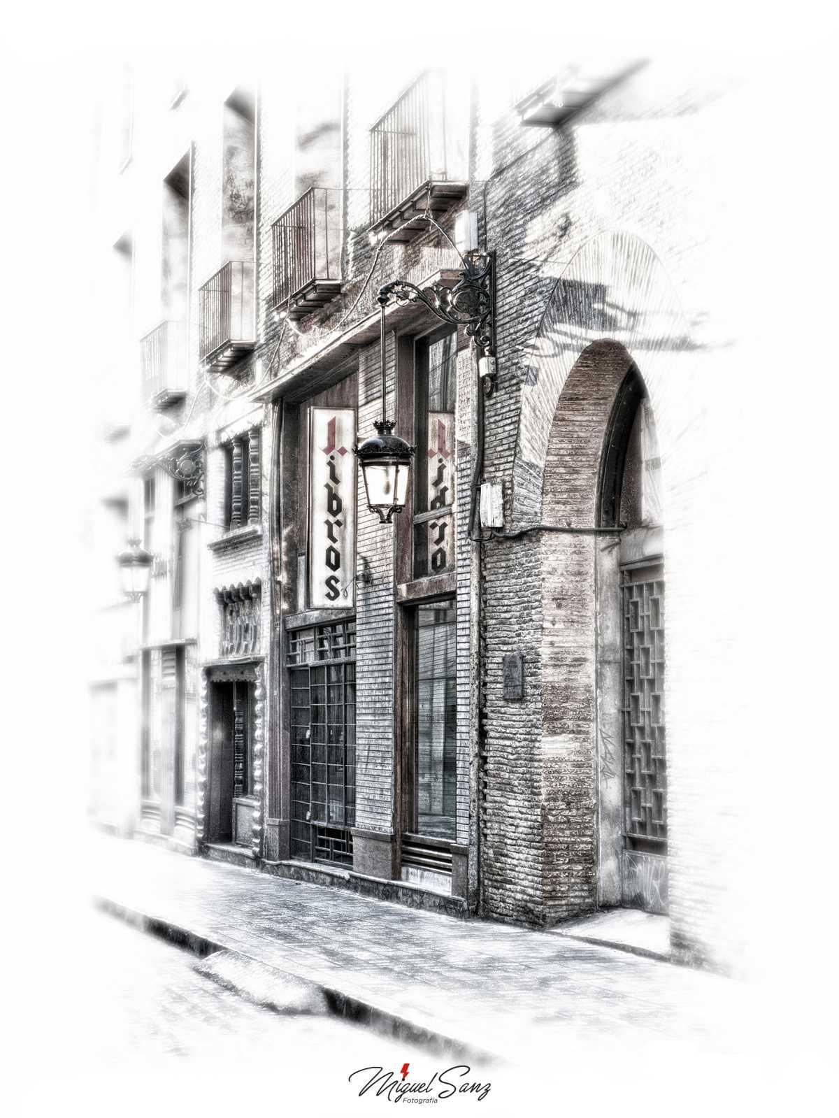 Miguel Sanz Miguel Sanz