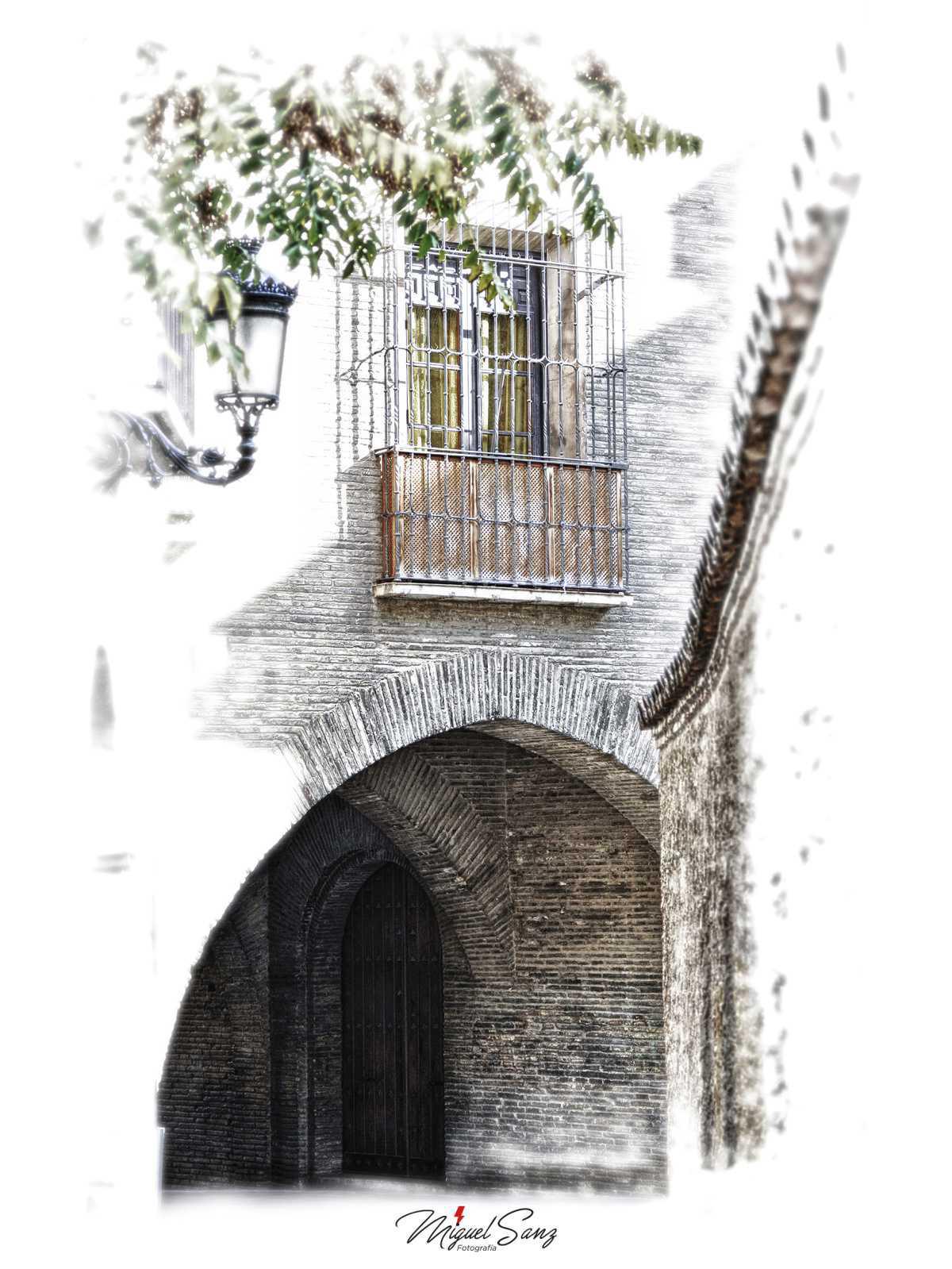 Miguel Sanz Miguel Sanz