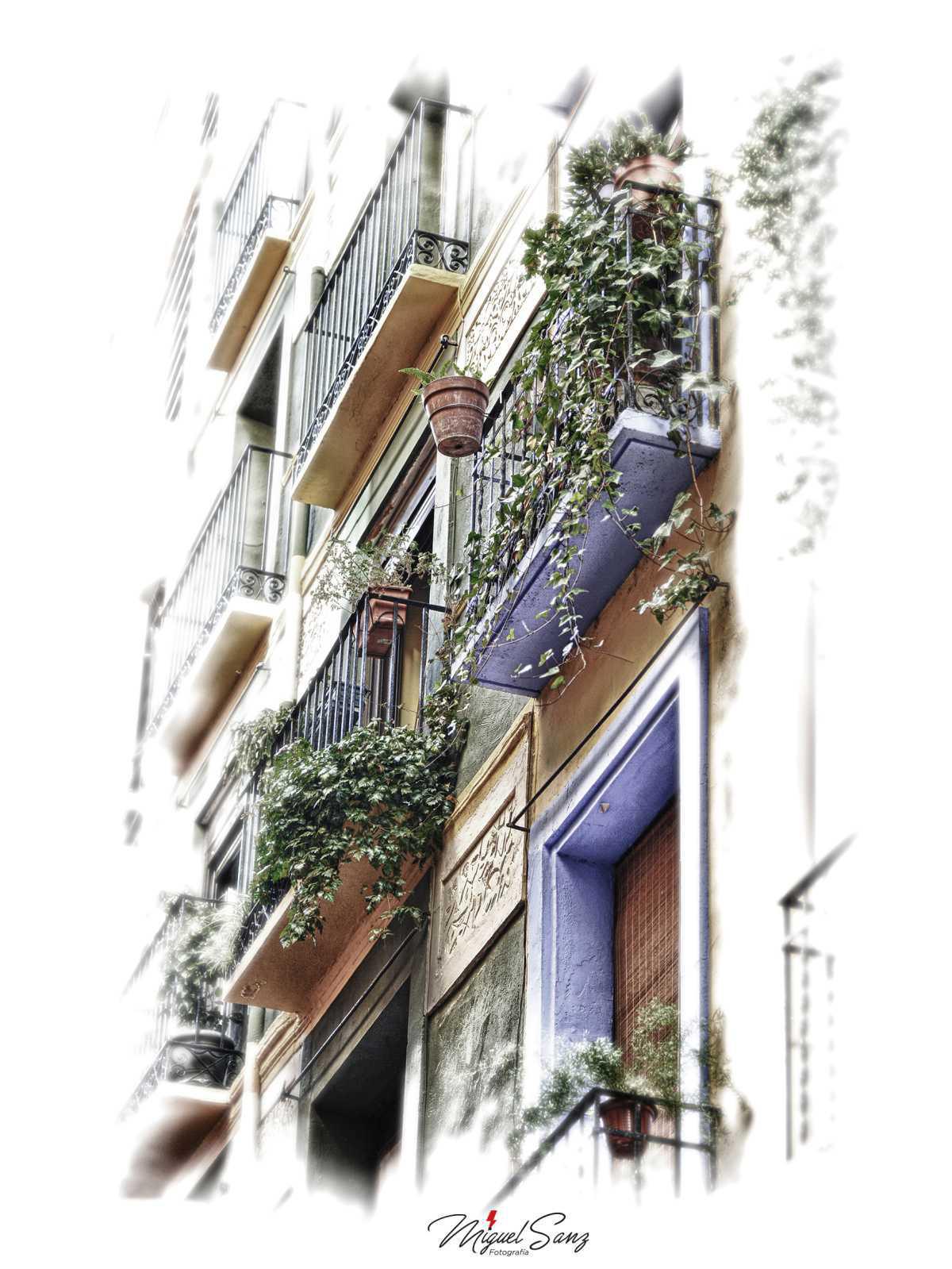 Miguel Sanz Miguel Sanz