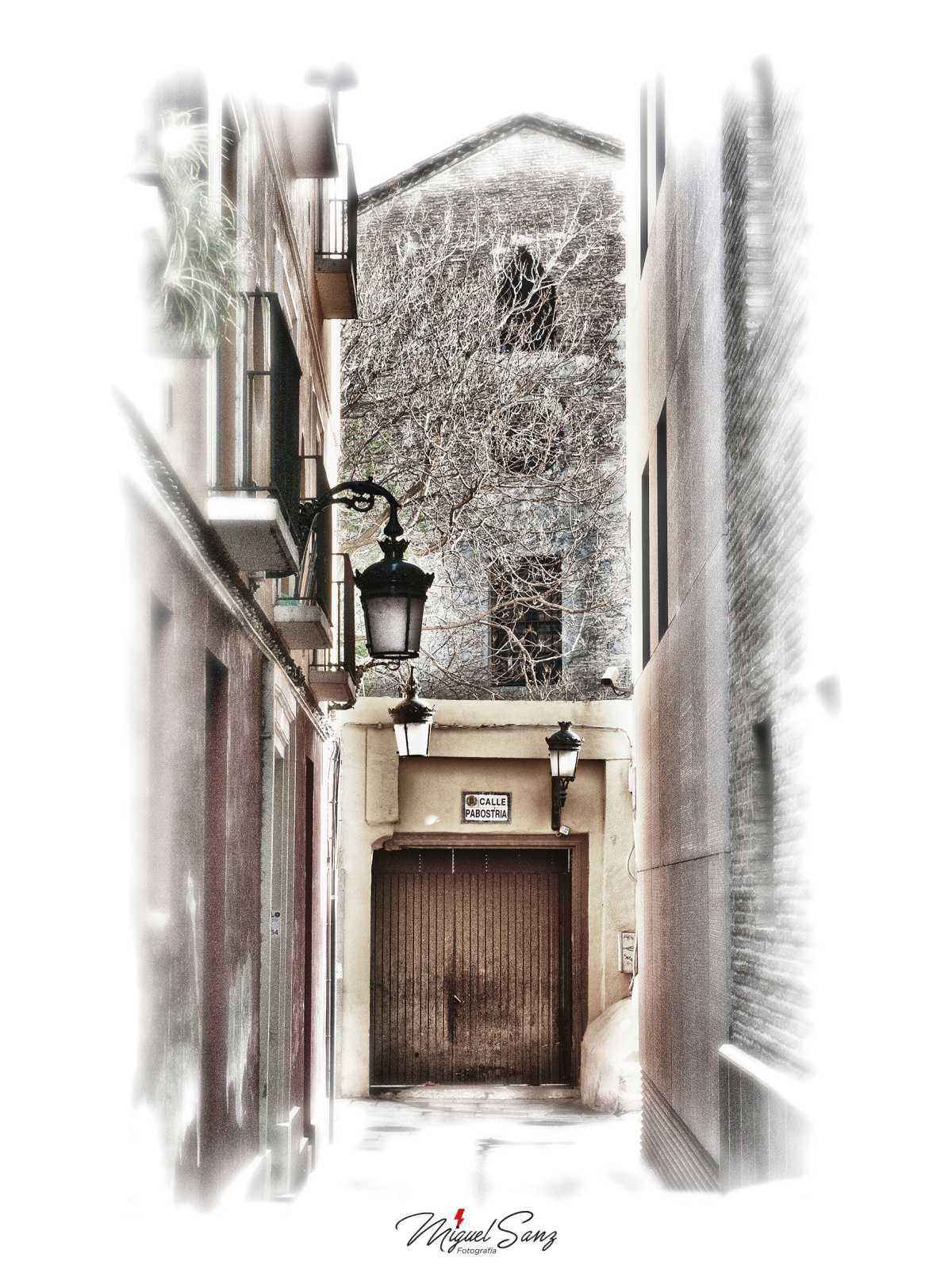 Miguel Sanz Miguel Sanz