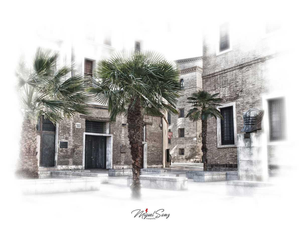 Miguel Sanz Miguel Sanz