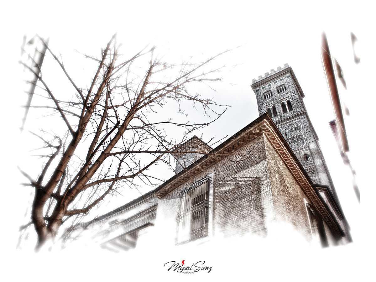 Miguel Sanz Miguel Sanz