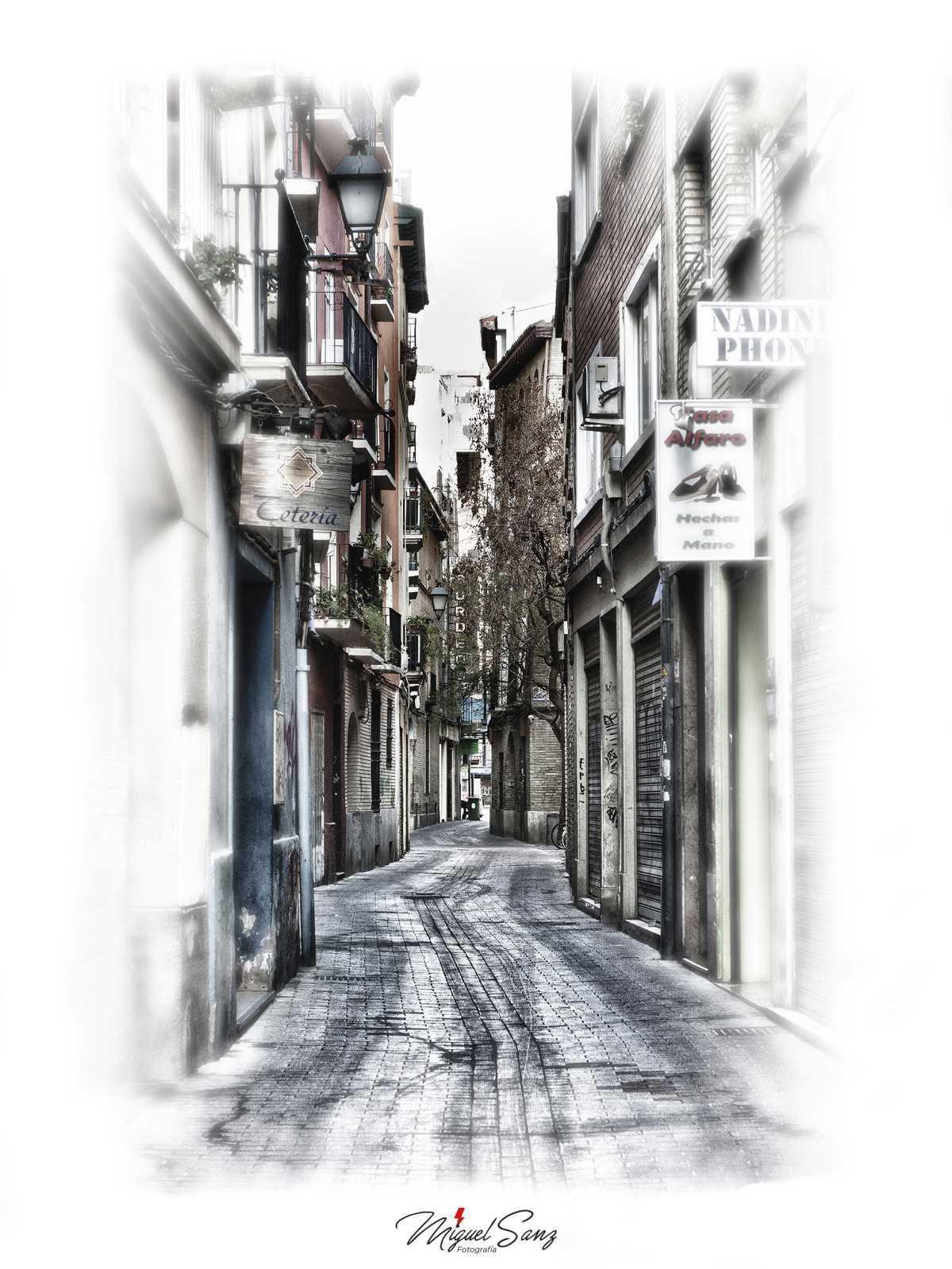 Miguel Sanz Miguel Sanz