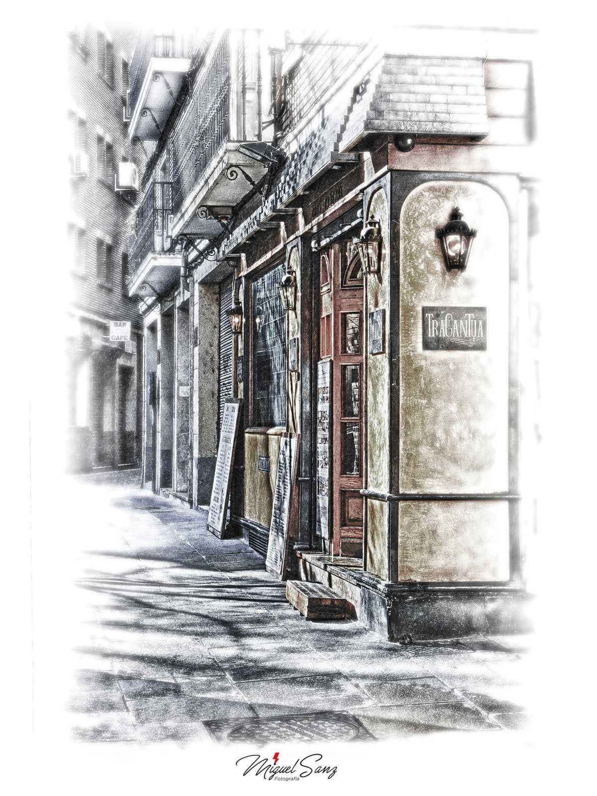 Miguel Sanz Miguel Sanz