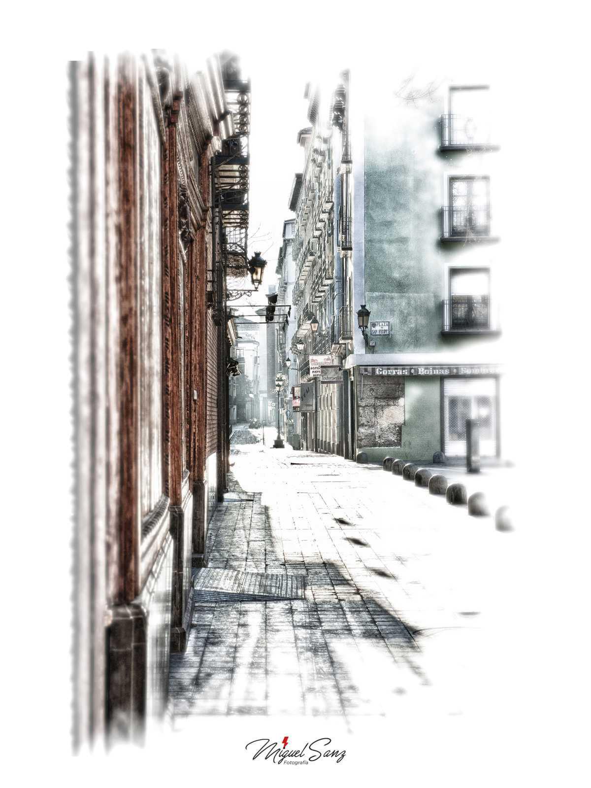 Miguel Sanz Miguel Sanz