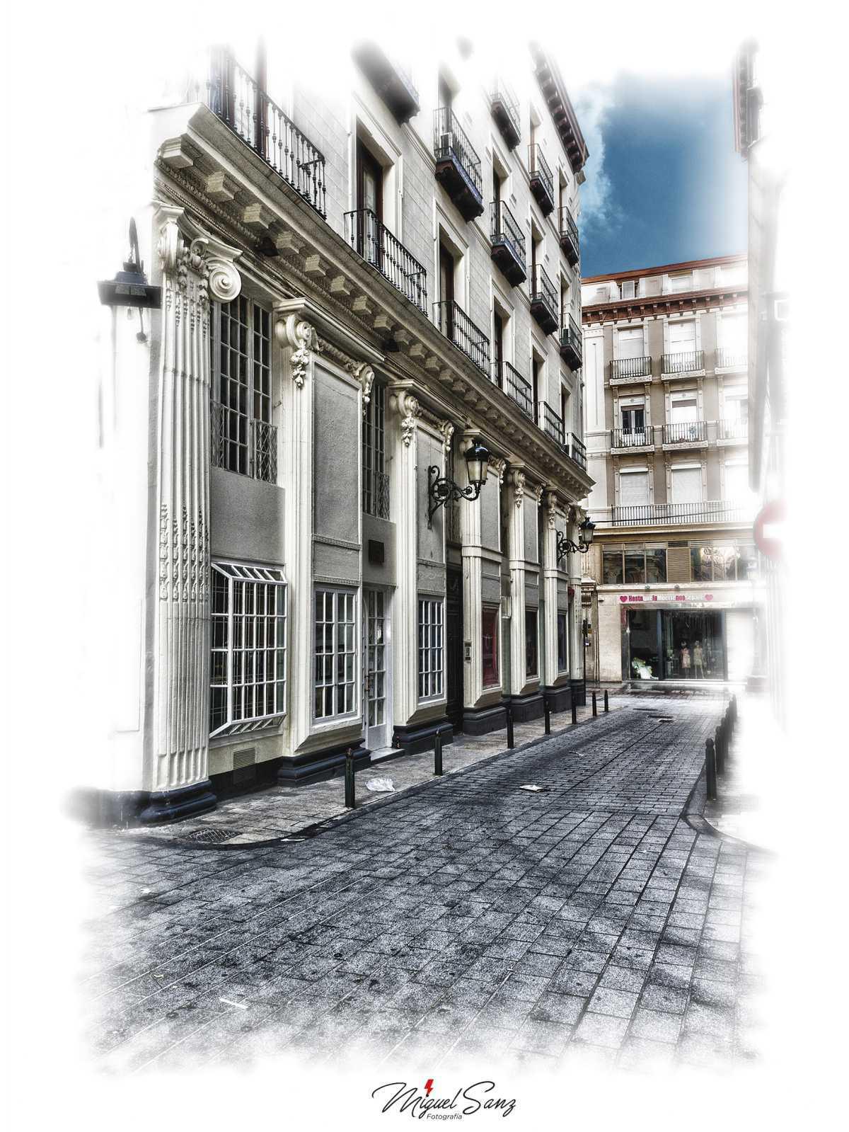 Miguel Sanz Miguel Sanz