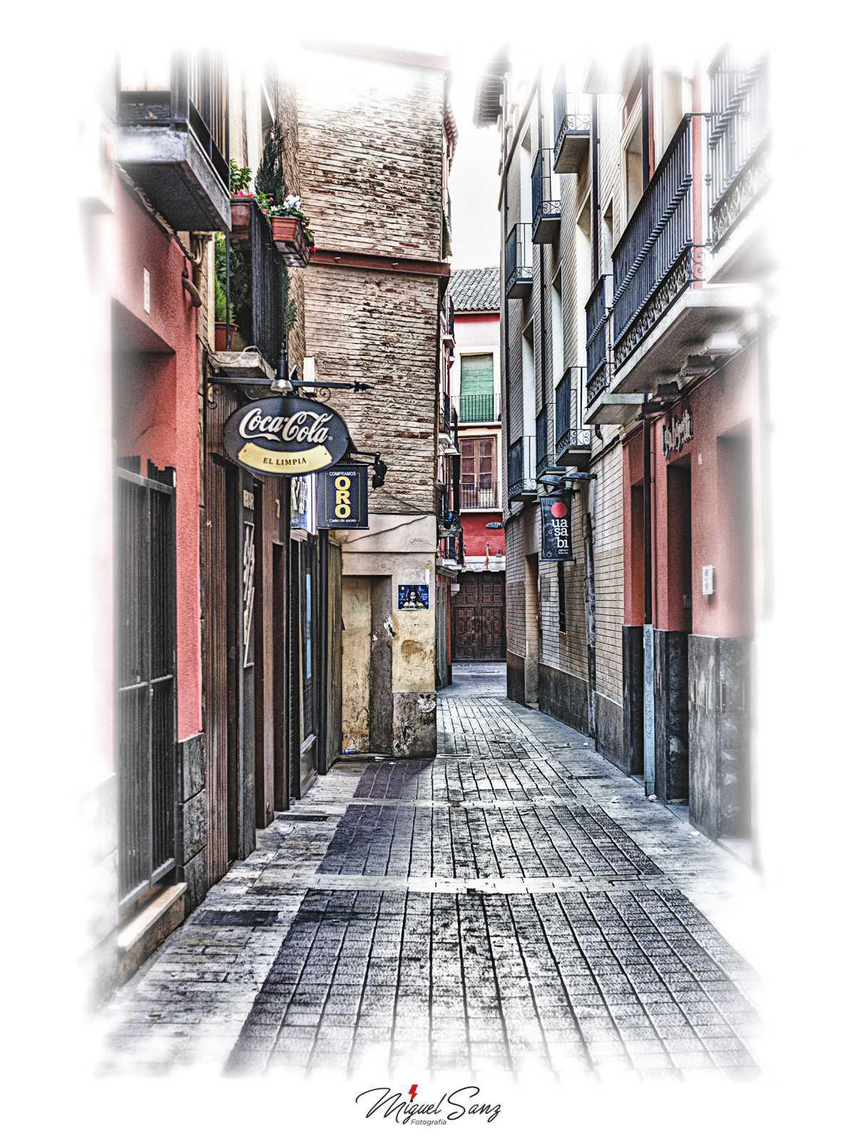 Miguel Sanz Miguel Sanz