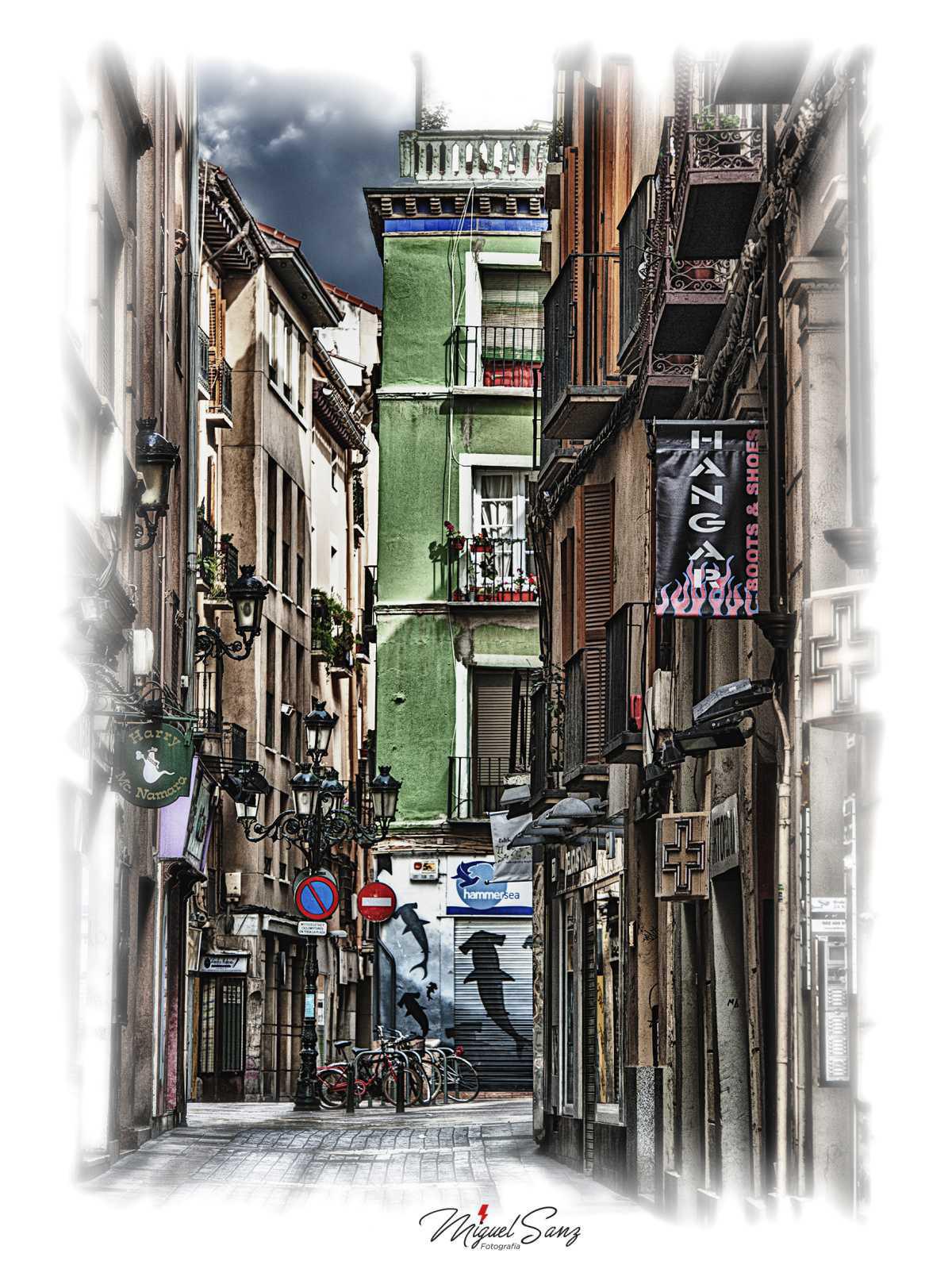 Miguel Sanz Miguel Sanz