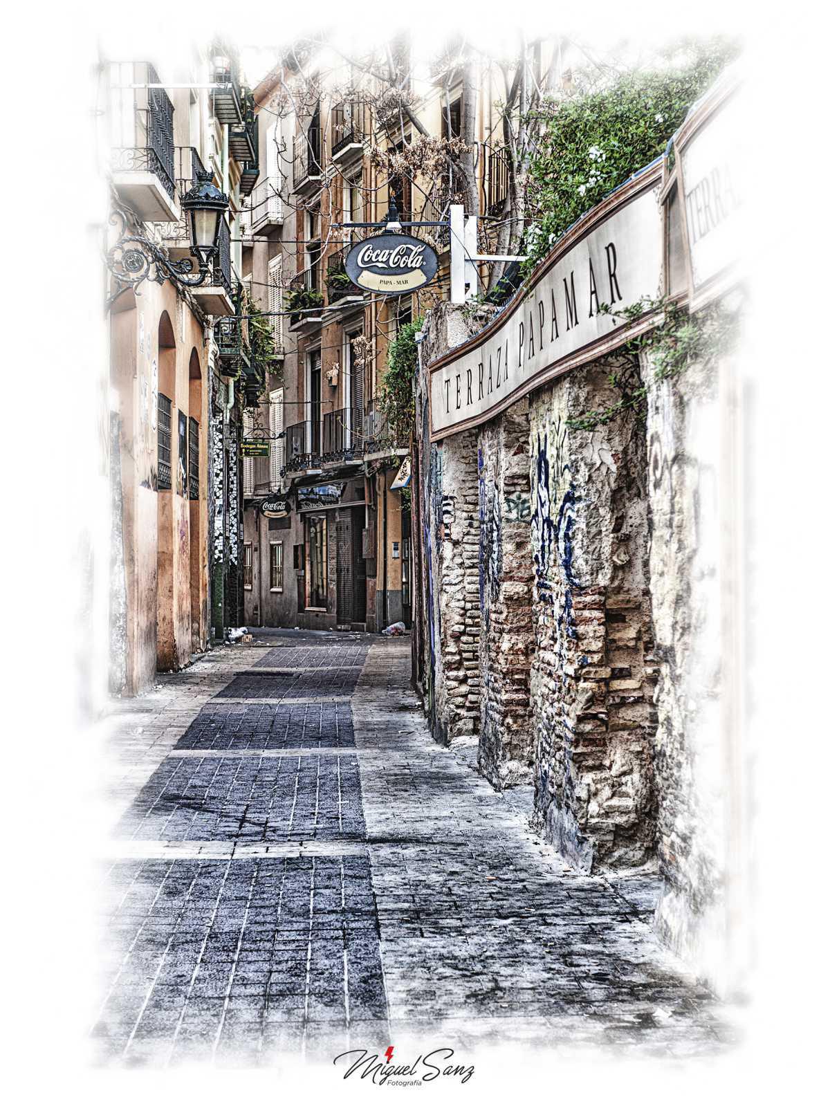 Miguel Sanz Miguel Sanz