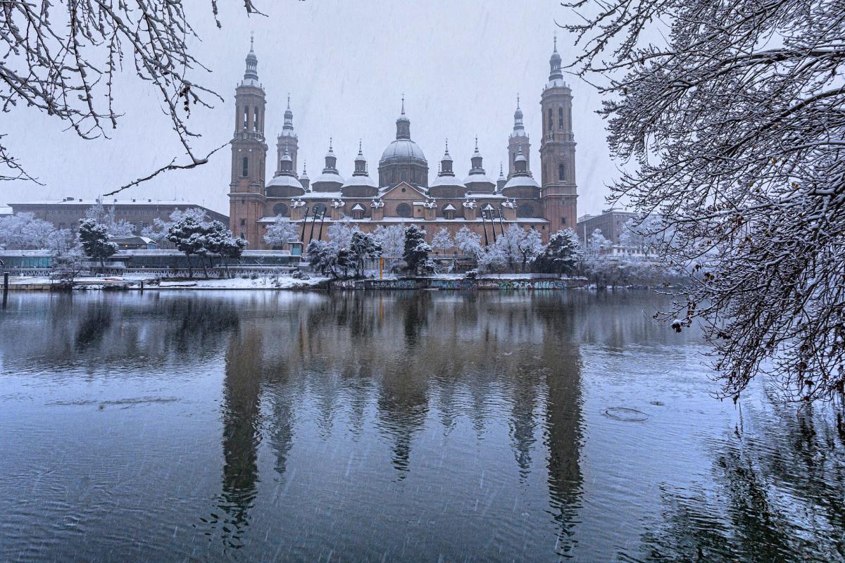 Javier González Javier González