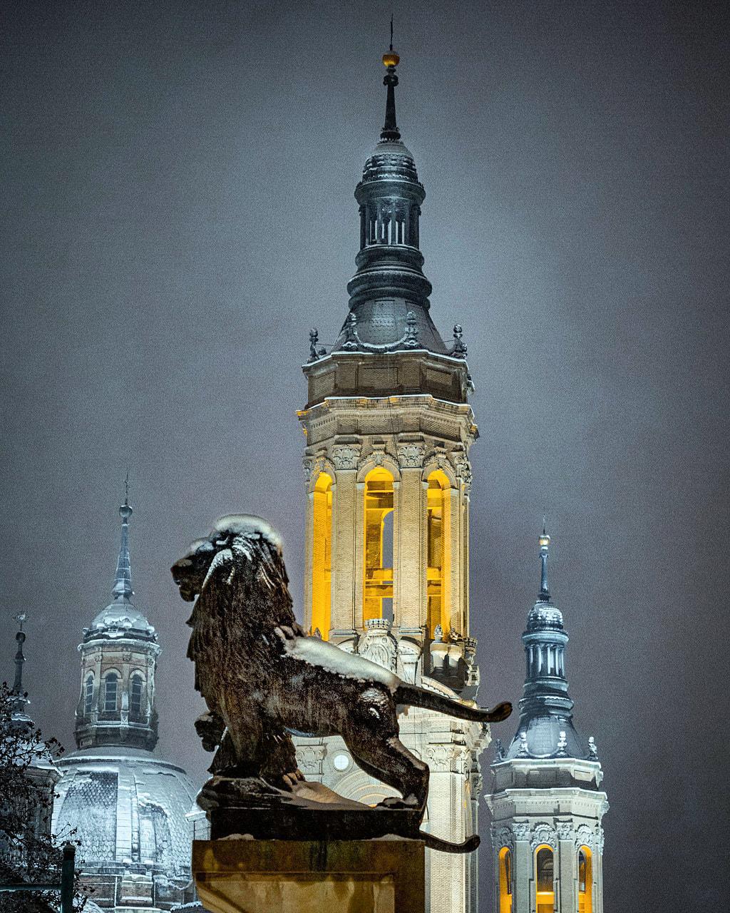 Javier González Javier González