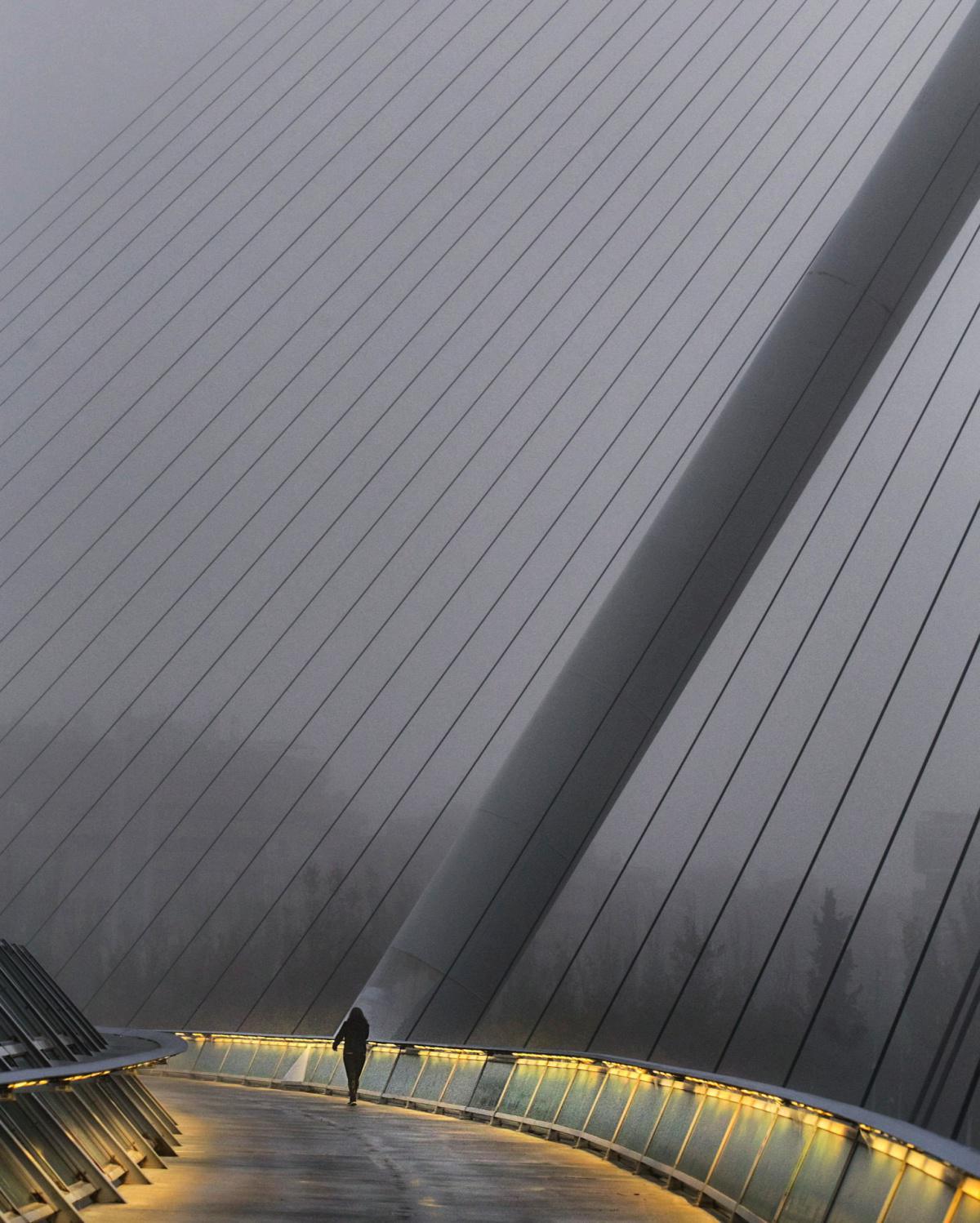 Javier González Javier González