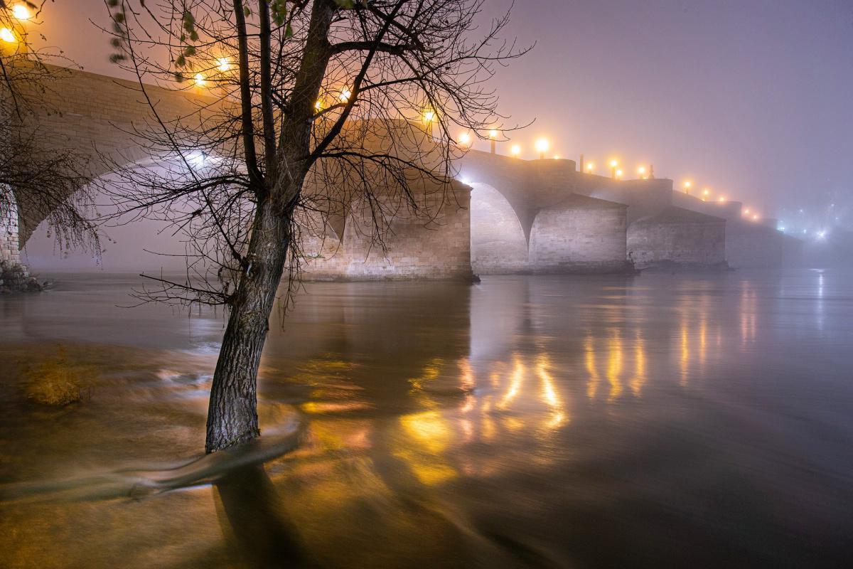 Javier González Javier González